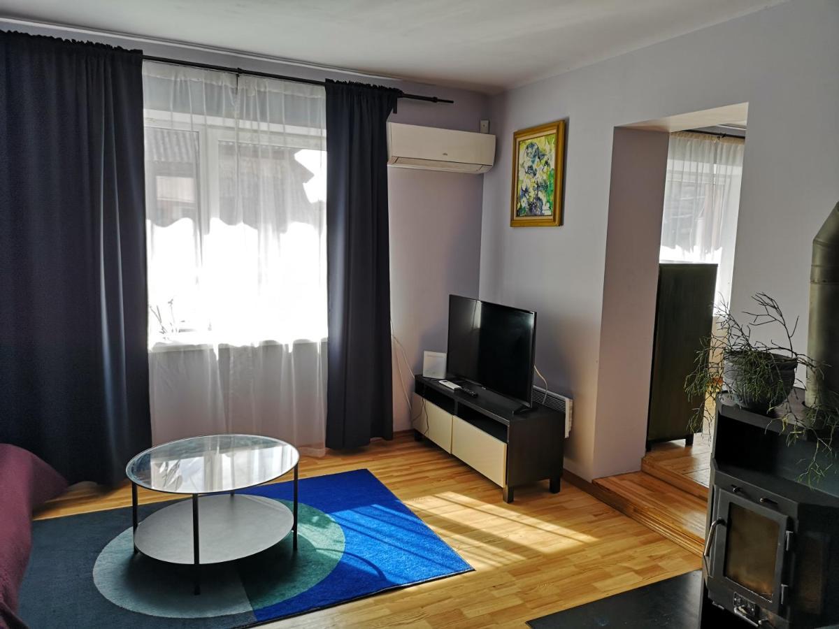 Park Apartment Kaunas Exterior photo